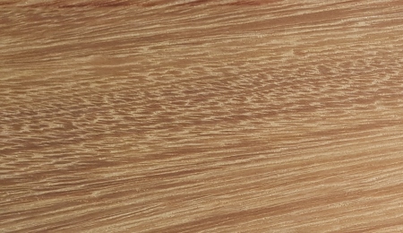 Beispielbilder