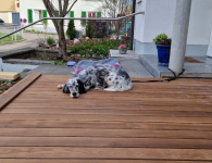 CH-Reinach